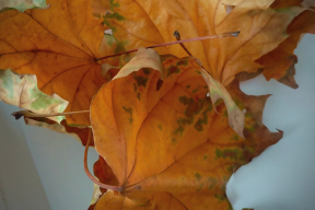 Дневник войны, глава 277. «Восстановление начинается не с миллиардов, а с простых, гениальных идей»