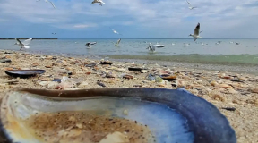 Дневник войны, глава 297. «Нет инструкции, как вести себя в плацкарте, над которым завис шахед»