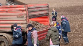 Как пропагандисты хотели упрекнуть беларусов, а забросили камень в огород Лукашенко