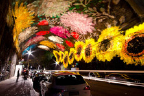 Фестиваль света в Сиднее (фото)