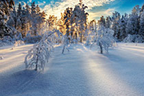 20 завораживающих зимних пейзажей (фото)