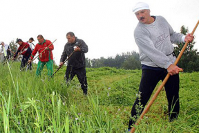Александр Лукашенко и трын-трава