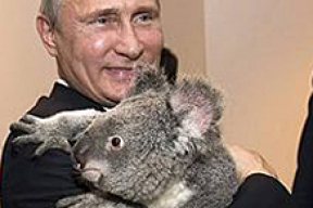 «Мы хотим жить, чтобы никто нам не капал на мозги и не подсовывал коалу для объятий»