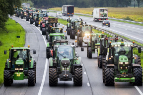 Как голландские фермеры протестуют против неуважения