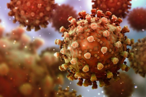 Коронавирус и иммунитет: можно ли заболеть Covid-19 повторно?