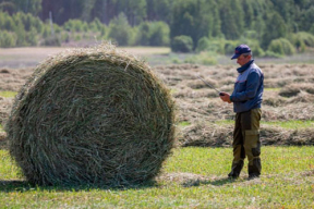 Фотожабы: «В Гомельской области приступили к цифровой заготовке сенажа»