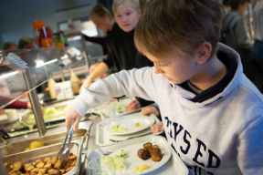 Как финские школы развивают культуру сбалансированного питания?