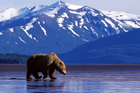 «Возможно, дела у России гораздо хуже, чем нам кажется»