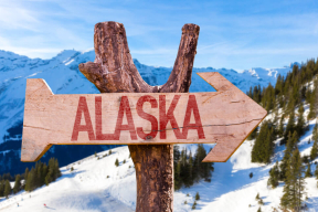 Ауслендер: «Аляска – выбор оригинальный, но вполне имеющий объяснение»