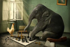 «Лучше добавить сто рублей и купить курочку»