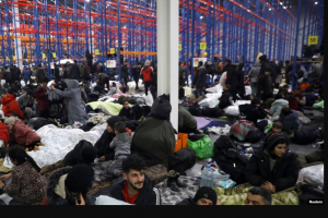 Мигранты пожаловались на дорогую шаурму. Вопросом занялись Караев и Караник. Граница 20 ноября
