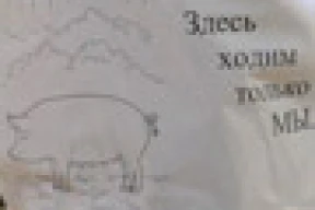 Перад «Дажынкамі» у Маладзечна дазволена хадзіць па газонах толькі свінням
