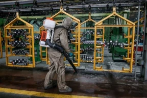 Коронавирус. За сутки заболели почти 1700 человек и семь смертей