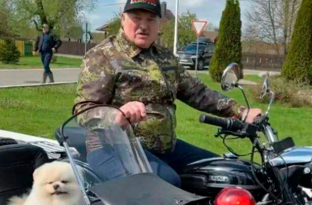 «И мышь, и крыса, и журавль — все на автомобиле». Лукашенко потребовал ужесточать подготовку водителей